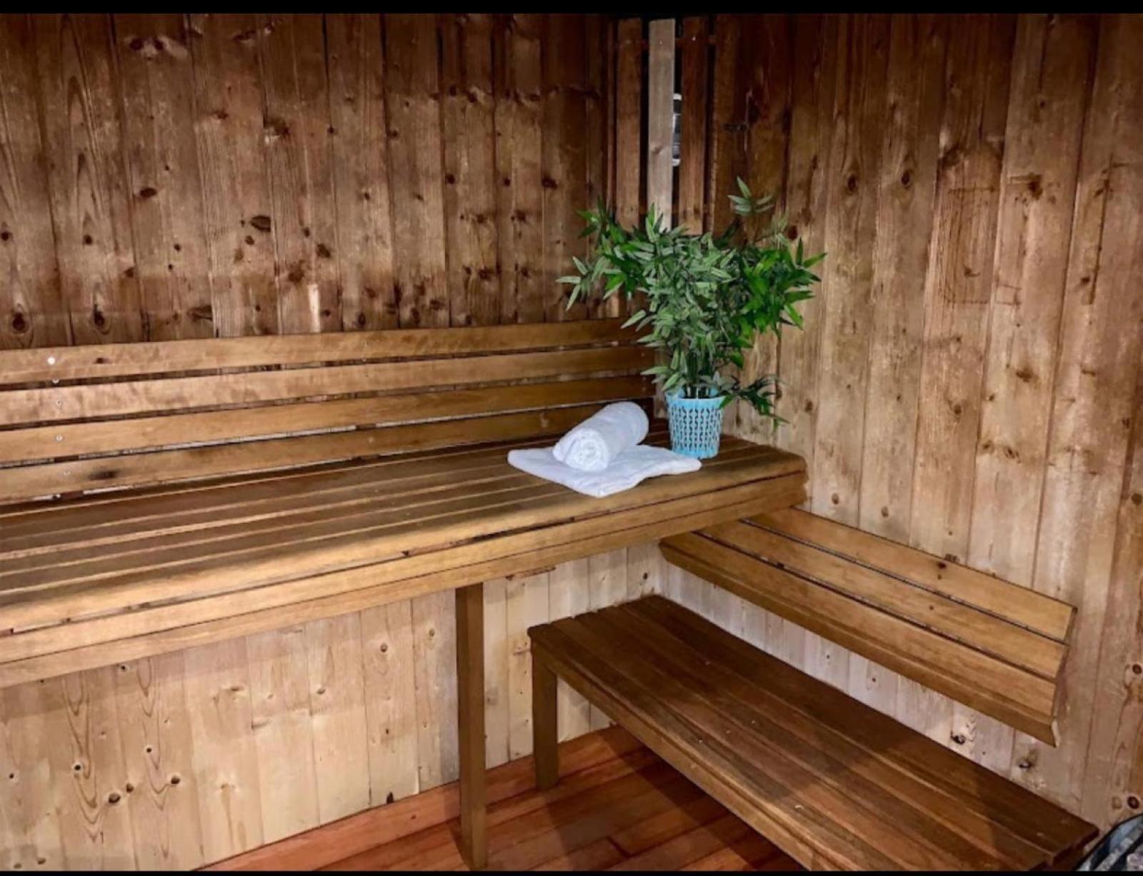 Appartements Avec Piscine Interieure Sauna Parking Etage 1 Au Centre Du Village Dans Residence Cami Real Saint-Lary-Soulan Luaran gambar